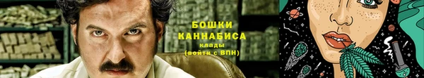 бошки Бронницы