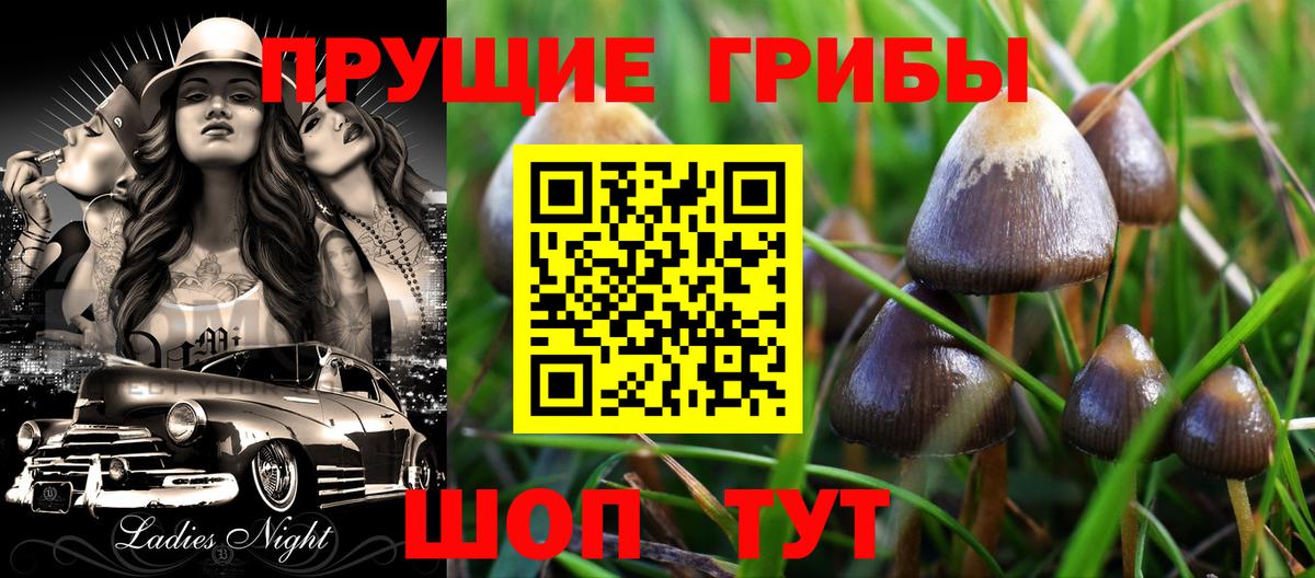 Псилоцибиновые грибы Cubensis Переславль-Залесский